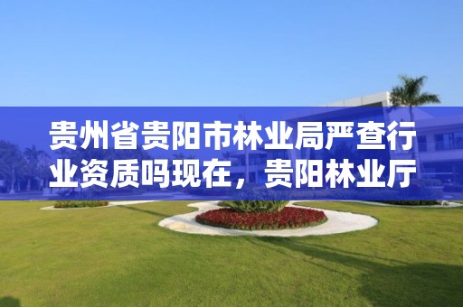 贵州省贵阳市林业局严查行业资质吗现在，贵阳林业厅