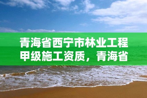 青海省西宁市林业工程甲级施工资质,青海省林业工程咨询中心是什么性质的单位