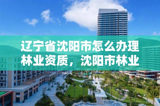 辽宁省沈阳市怎么办理林业资质，沈阳市林业建设保护条例