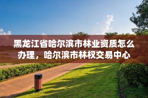黑龙江省哈尔滨市林业资质怎么办理,哈尔滨市林权交易中心