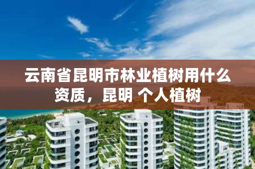 云南省昆明市林业植树用什么资质，昆明 个人植树