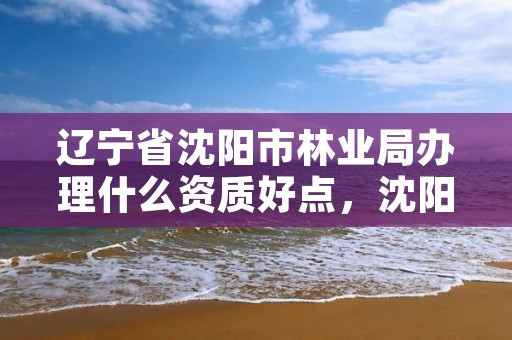 辽宁省沈阳市林业局办理什么资质好点，沈阳林业部门电话