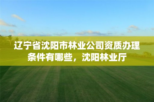 辽宁省沈阳市林业公司资质办理条件有哪些，沈阳林业厅