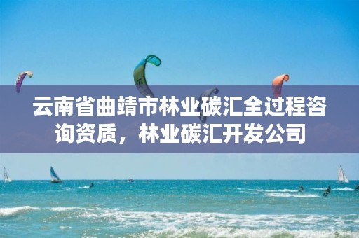 云南省曲靖市林业碳汇全过程咨询资质,林业碳汇开发公司