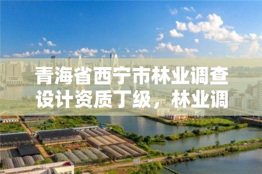青海省西宁市林业调查设计资质丁级,林业调查规划设计资质查询
