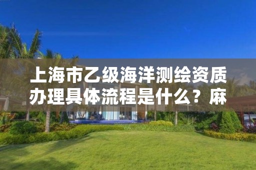 上海市乙级海洋测绘资质办理具体流程是什么?麻烦吗?