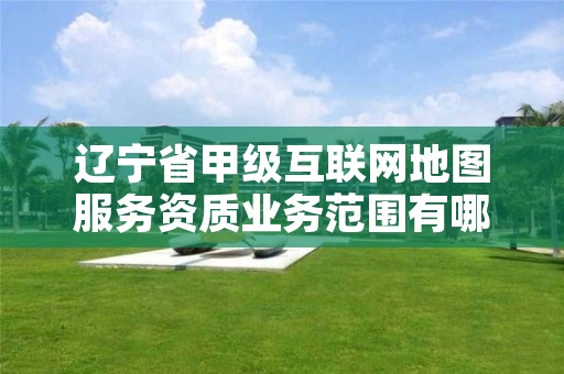 辽宁省甲级互联网地图服务资质业务范围有哪些？