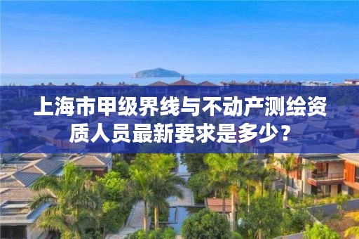 上海市甲级界线与不动产测绘资质人员最新要求是多少?