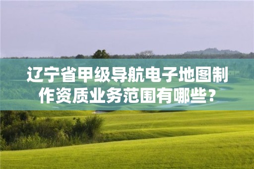 辽宁省甲级导航电子地图制作资质业务范围有哪些？