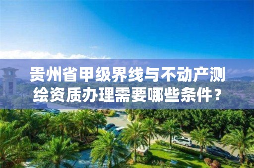 贵州省甲级界线与不动产测绘资质办理需要哪些条件？