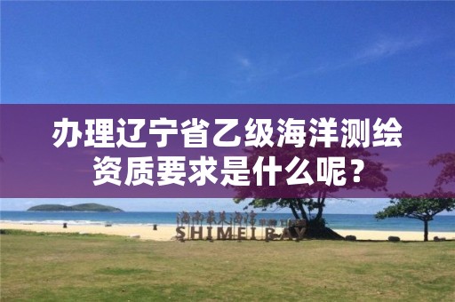 办理辽宁省乙级海洋测绘资质要求是什么呢？