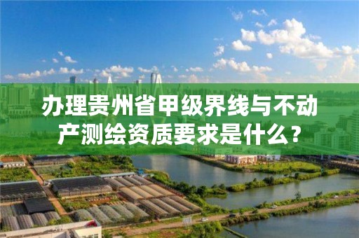 办理贵州省甲级界线与不动产测绘资质要求是什么？