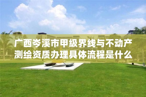 广西岑溪市甲级界线与不动产测绘资质办理具体流程是什么?