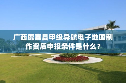 广西鹿寨县甲级导航电子地图制作资质申报条件是什么?