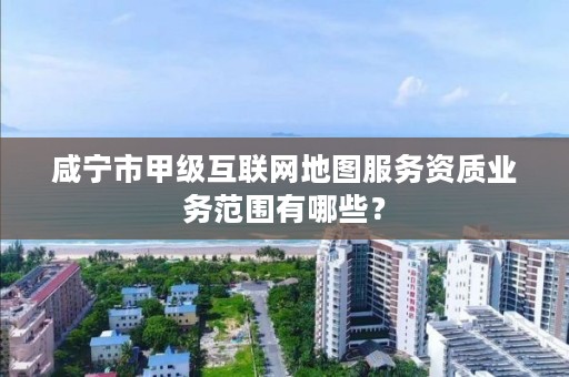 咸宁市甲级互联网地图服务资质业务范围有哪些？