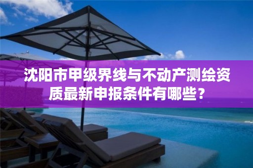 沈阳市甲级界线与不动产测绘资质最新申报条件有哪些?