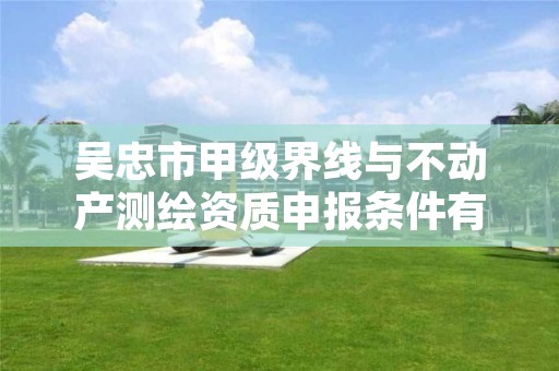 吴忠市甲级界线与不动产测绘资质申报条件有哪些?建议收藏!