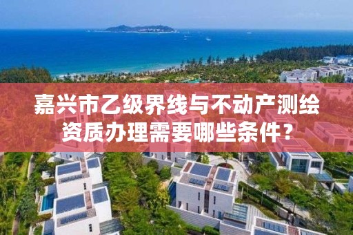 嘉兴市乙级界线与不动产测绘资质办理需要哪些条件？