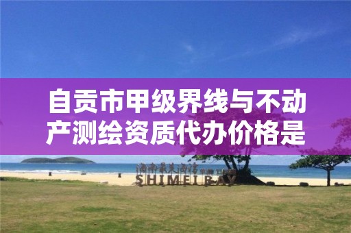 自贡市甲级界线与不动产测绘资质代办价格是多少钱呢?