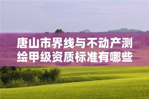 唐山市界线与不动产测绘甲级资质标准有哪些呢?