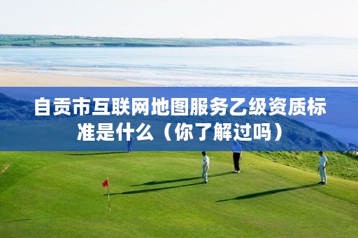 自贡市互联网地图服务乙级资质标准是什么（你了解过吗）