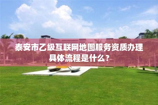 泰安市乙级互联网地图服务资质办理具体流程是什么?