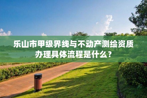 乐山市甲级界线与不动产测绘资质办理具体流程是什么?