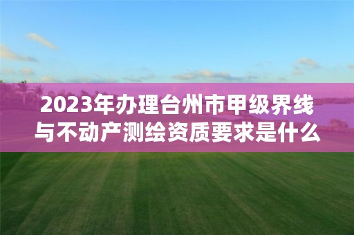 2023年办理台州市甲级界线与不动产测绘资质要求是什么?