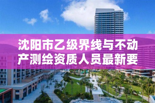 沈阳市乙级界线与不动产测绘资质人员最新要求是多少个？