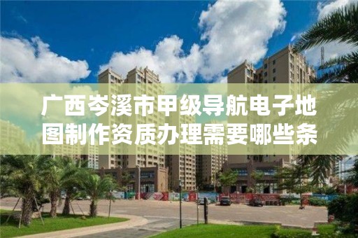 广西岑溪市甲级导航电子地图制作资质办理需要哪些条件?