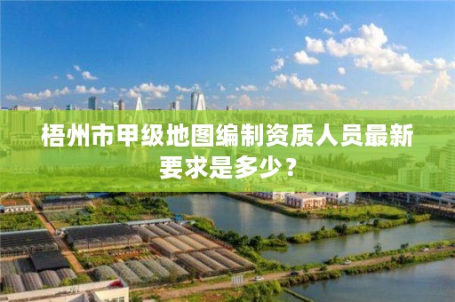 梧州市甲级地图编制资质人员最新要求是多少?
