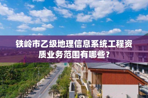 铁岭市乙级地理信息系统工程资质业务范围有哪些？