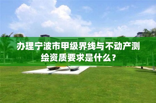 办理宁波市甲级界线与不动产测绘资质要求是什么？