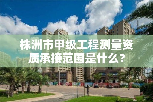 株洲市甲级工程测量资质承接范围是什么?