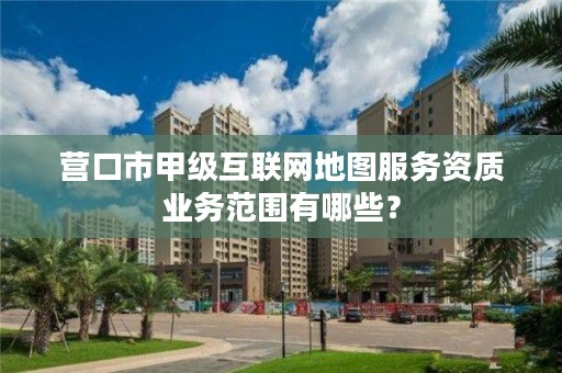 营口市甲级互联网地图服务资质业务范围有哪些？