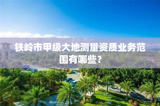 铁岭市甲级大地测量资质业务范围有哪些？