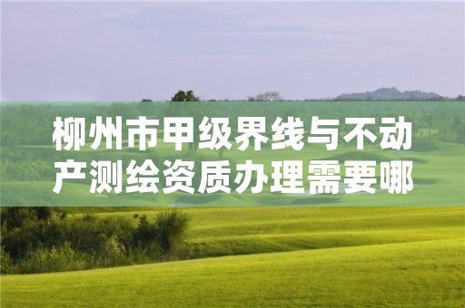 柳州市甲级界线与不动产测绘资质办理需要哪些条件?