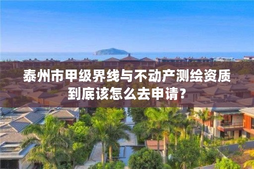 泰州市甲级界线与不动产测绘资质到底该怎么去申请?