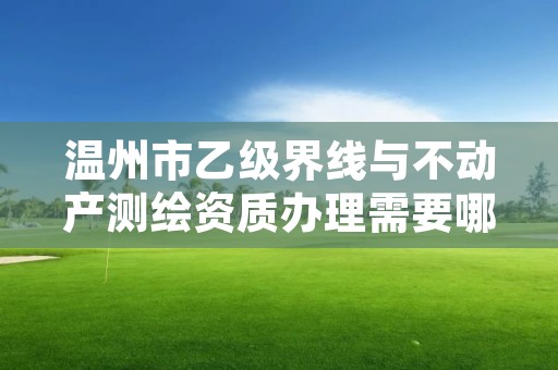 温州市乙级界线与不动产测绘资质办理需要哪些条件？