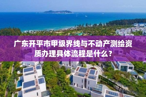 广东开平市甲级界线与不动产测绘资质办理具体流程是什么?