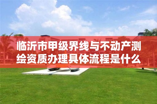 临沂市甲级界线与不动产测绘资质办理具体流程是什么?