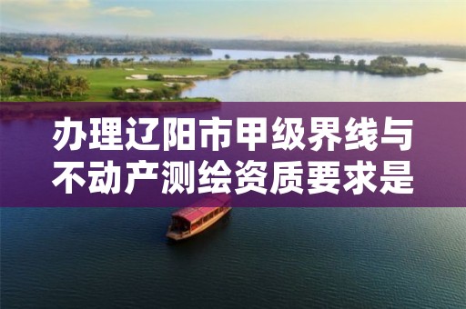 办理辽阳市甲级界线与不动产测绘资质要求是什么？