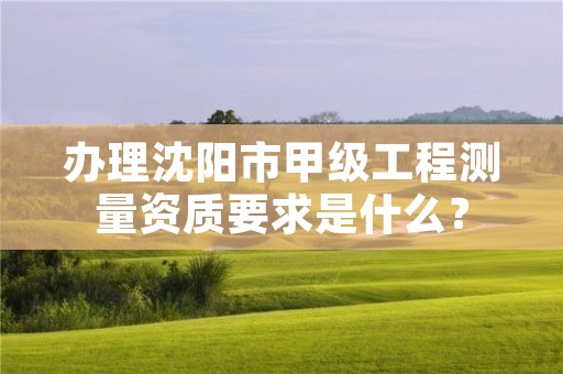 办理沈阳市甲级工程测量资质要求是什么？