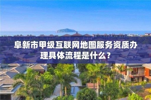 阜新市甲级互联网地图服务资质办理具体流程是什么？