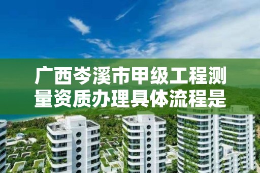 广西岑溪市甲级工程测量资质办理具体流程是什么?