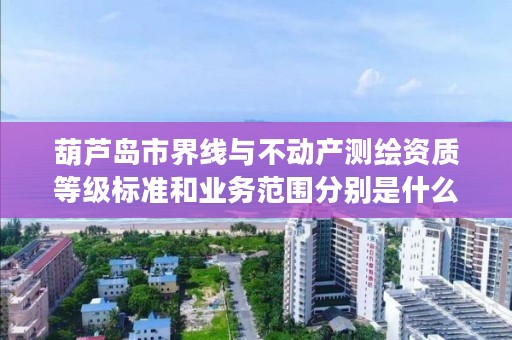 葫芦岛市界线与不动产测绘资质等级标准和业务范围分别是什么？