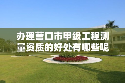 办理营口市甲级工程测量资质的好处有哪些呢？