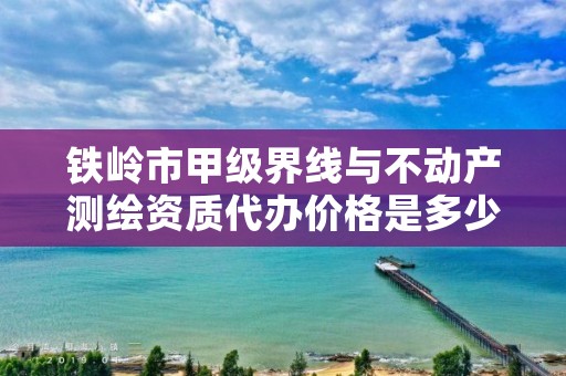 铁岭市甲级界线与不动产测绘资质代办价格是多少钱呢？
