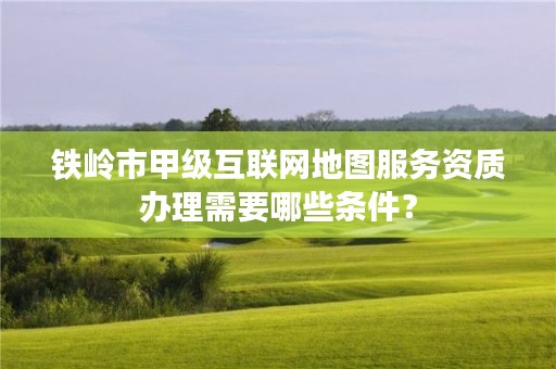铁岭市甲级互联网地图服务资质办理需要哪些条件？