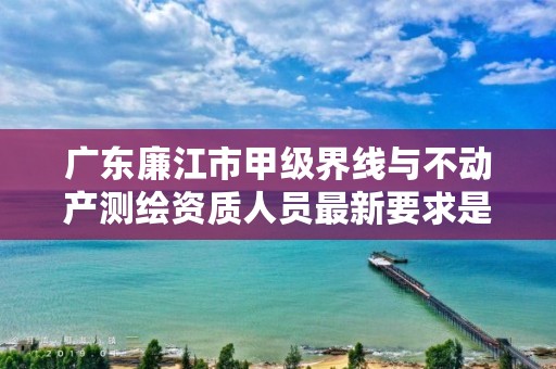 广东廉江市甲级界线与不动产测绘资质人员最新要求是多少？